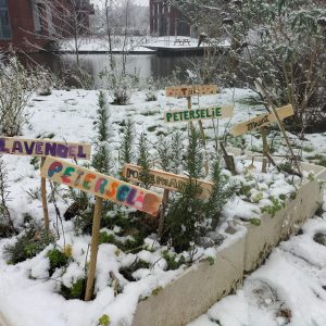 Afbeelding van WhatsApp op 2025-11-18 om 20.16.07_a0f1196f