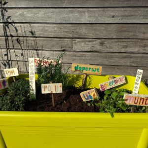 Afbeelding van WhatsApp op 2025-11-18 om 20.41.23_4338169b